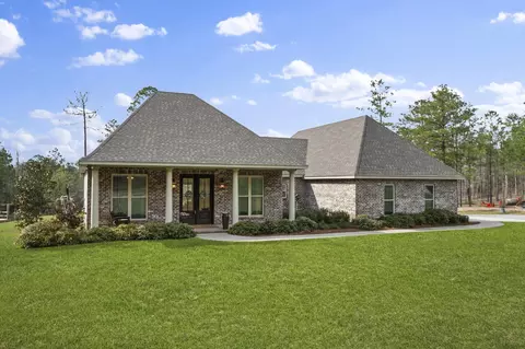 55 Big Hill Rd, Sumrall, MS 39482 photo 2