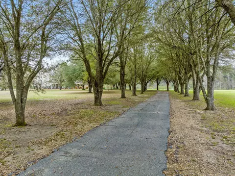 View/Area - 38 Hidden Acres, Laurel, MS 39443 photo 1 of 5