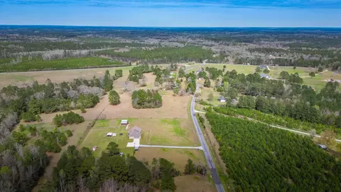 View/Area - 383 Co Rd 155, Stringer, MS 39481 photo 7 of 9