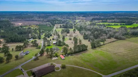 View/Area - 383 Co Rd 155, Stringer, MS 39481 photo 8 of 9
