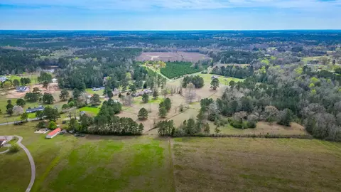 View/Area - 383 Co Rd 155, Stringer, MS 39481 photo 2 of 9