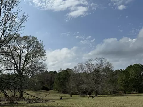 Exterior - 383 Co Rd 155, Stringer, MS 39481 photo 3 of 3