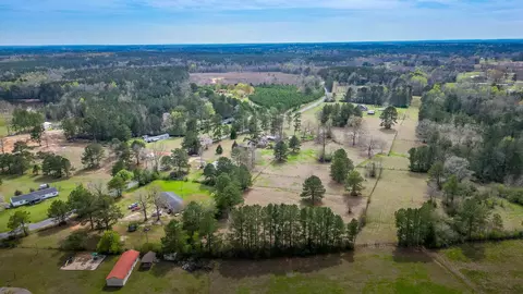 View/Area - 383 Co Rd 155, Stringer, MS 39481 photo 4 of 9