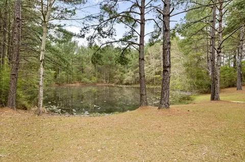 60 Pleasant Hl, Sumrall, MS 39482 photo 2
