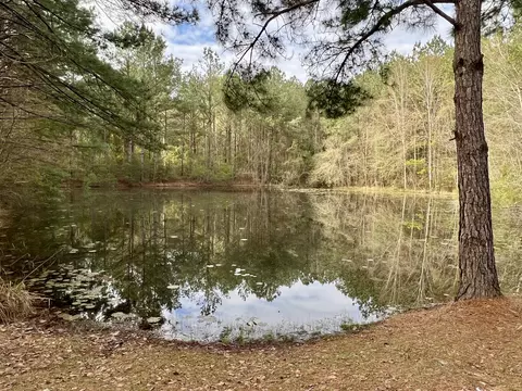 60 Pleasant Hl, Sumrall, MS 39482 photo 28