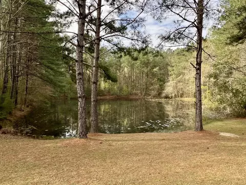 60 Pleasant Hl, Sumrall, MS 39482 photo 27