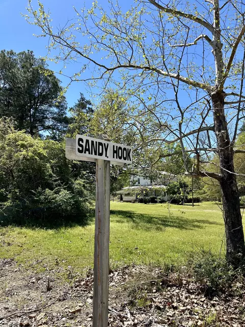 View/Area - 58 Hart Rd, Sandy Hook, MS 39478 photo 2 of 14