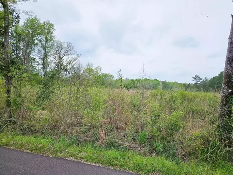 44 Jack Hall Rd, Mount Olive, MS 39119 photo 3