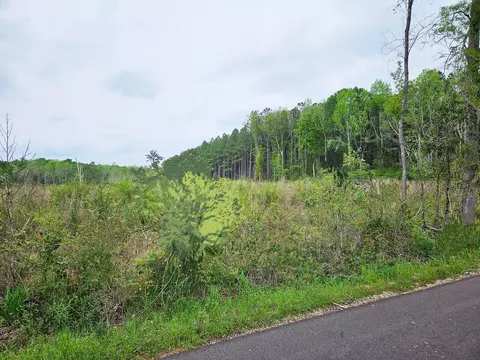 44 Jack Hall Rd, Mount Olive, MS 39119