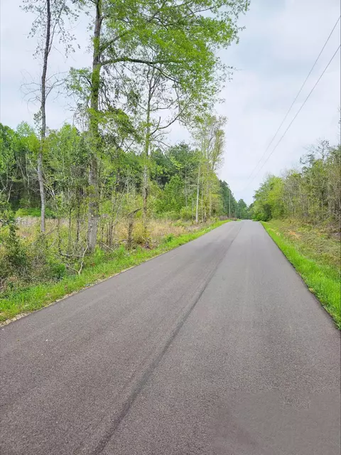 44 Jack Hall Rd, Mount Olive, MS 39119 photo 2