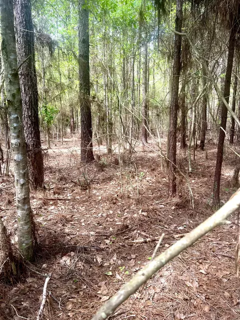 0 Beta Mera Dr, Poplarville, MS 39470