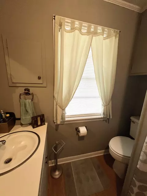 Bath - 267 Stringer Rd, Columbia, MS 39429 photo 3 of 4