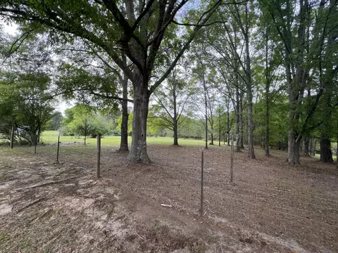 View/Area - 267 Stringer Rd, Columbia, MS 39429 photo 2 of 5