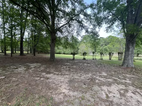 View/Area - 267 Stringer Rd, Columbia, MS 39429 photo 5 of 5