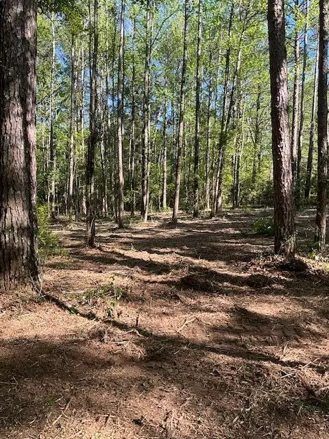 001 A Pittman, Sandy Hook, MS 39478 photo 3