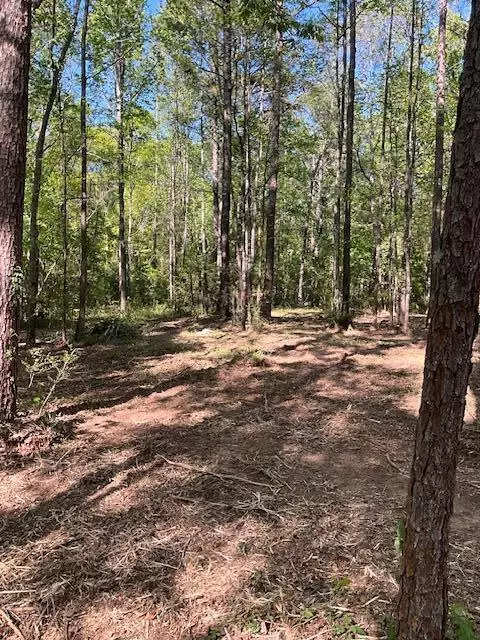 001 A Pittman, Sandy Hook, MS 39478 photo 4