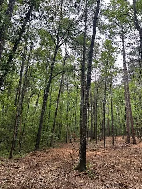 001 A Pittman, Sandy Hook, MS 39478 photo 9