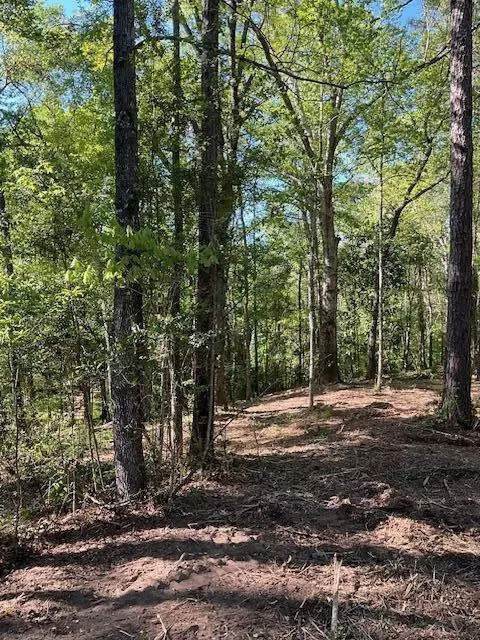 001 A Pittman, Sandy Hook, MS 39478 photo 5