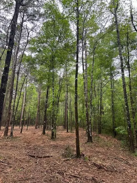 001 A Pittman, Sandy Hook, MS 39478 photo 8