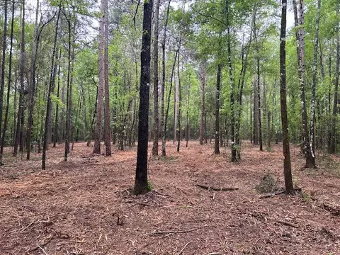 0 Rogers Ln, Foxworth, MS 39483