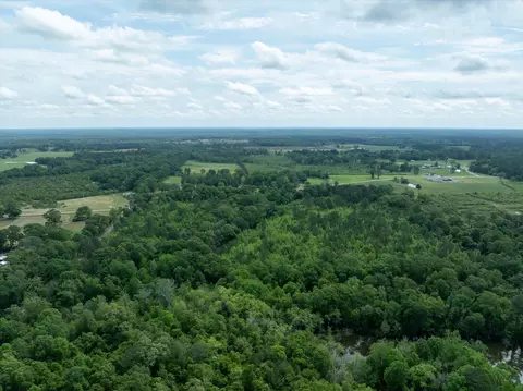 00 Ms-29, Ovett, MS 39464 photo 6