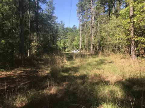 900 1 Brown Bridge Rd, Hattiesburg, MS 39401