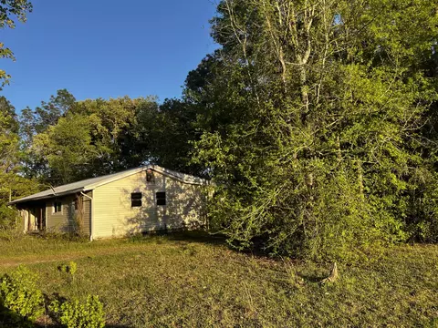 81 Gulledge Dr, Collins, MS 39428 photo 3