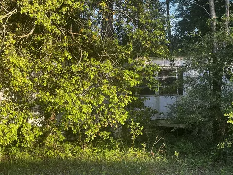 81 Gulledge Dr, Collins, MS 39428 photo 5