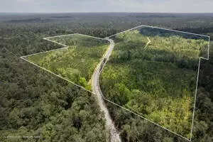 91 Acres New York Rd, Brooklyn, MS 39425