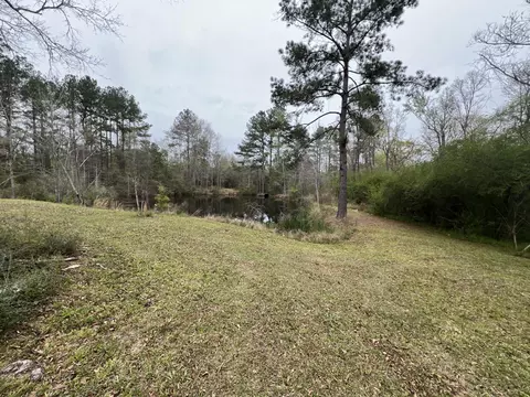 Exterior - 545 St Paul Rd, Sandy Hook, MS 39478 photo 10 of 13