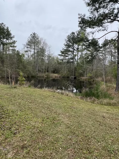 Exterior - 545 St Paul Rd, Sandy Hook, MS 39478 photo 9 of 13