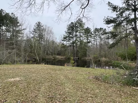 Exterior - 545 St Paul Rd, Sandy Hook, MS 39478 photo 8 of 13