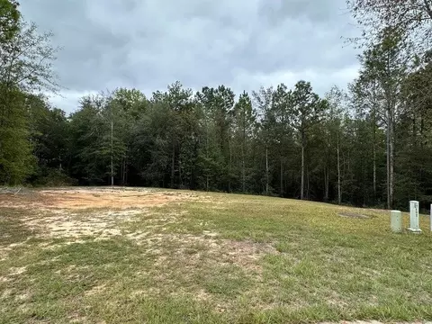 00 Sweet Maple Trl, Petal, MS 39465