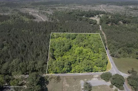 Tract 10 5.42 Acres Nelson Rd., Poplarville, MS 39470