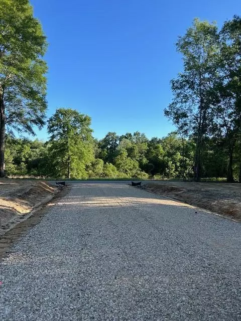 01 Savannah Millard Rd, Poplarville, MS 39470
