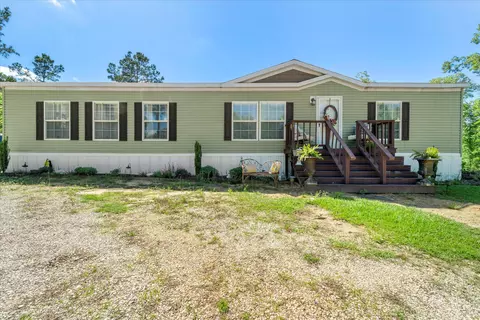 54 New St Paul Church Rd, Waynesboro, MS 39367