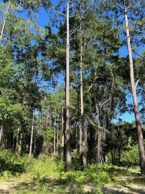 03 Savannah Millard Rd, Poplarville, MS 39470