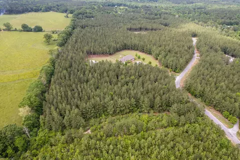 4 97 Acres Progress Trl, Sumrall, MS 39482 photo 8