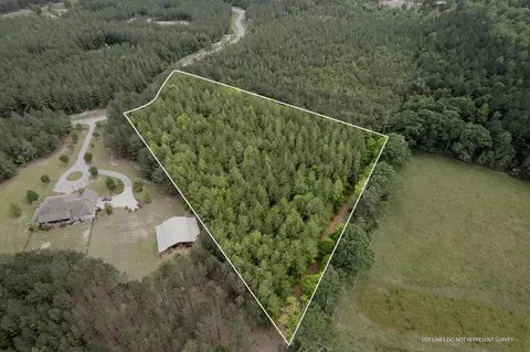 4 97 Acres Progress Trl, Sumrall, MS 39482 photo 2