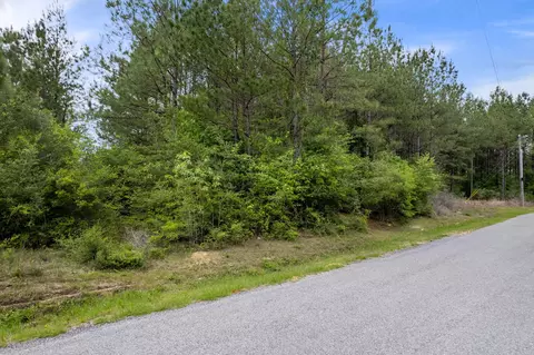 4 97 Acres Progress Trl, Sumrall, MS 39482 photo 4