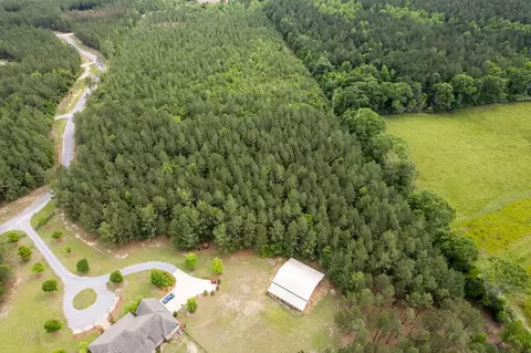 4 97 Acres Progress Trl, Sumrall, MS 39482 photo 5