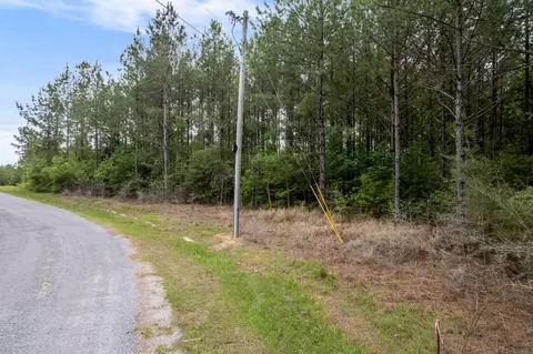 4 97 Acres Progress Trl, Sumrall, MS 39482 photo 3