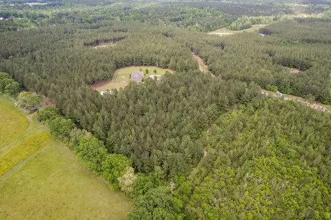 4 97 Acres Progress Trl, Sumrall, MS 39482 photo 7