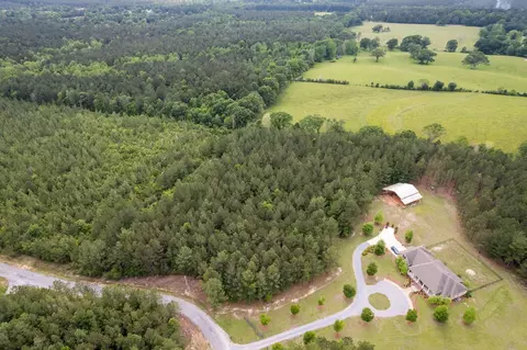 4 97 Acres Progress Trl, Sumrall, MS 39482 photo 11