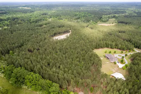 7 52 Acres Progress Trl, Sumrall, MS 39482 photo 7