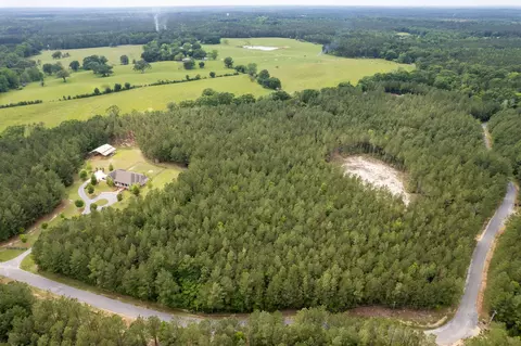 7 52 Acres Progress Trl, Sumrall, MS 39482 photo 5