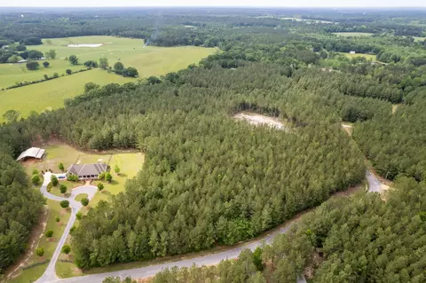 7 52 Acres Progress Trl, Sumrall, MS 39482 photo 6