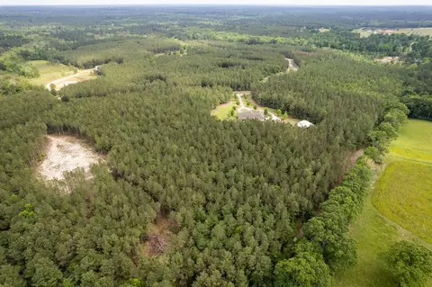 7 52 Acres Progress Trl, Sumrall, MS 39482 photo 8