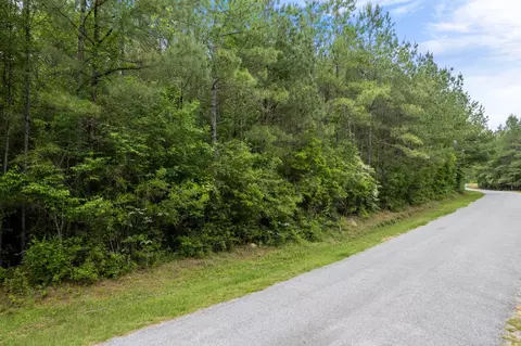 7 52 Acres Progress Trl, Sumrall, MS 39482 photo 3