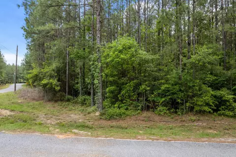 7 52 Acres Progress Trl, Sumrall, MS 39482 photo 4